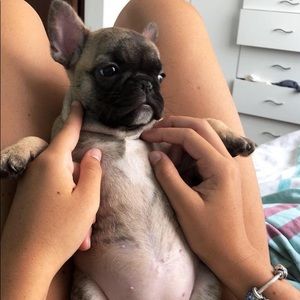 Meet your Posher, Sebastian